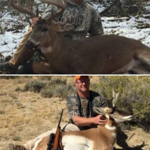 hunting pics
