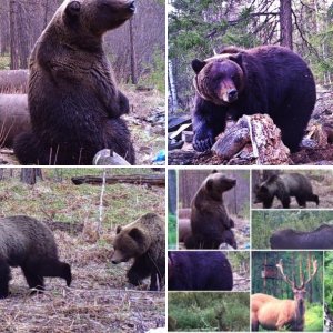Baikal Hunting Tours