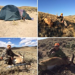 wy 2015