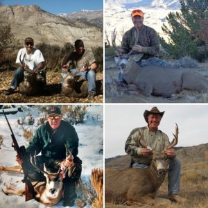 Mulies