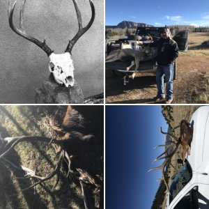 2017 hunts