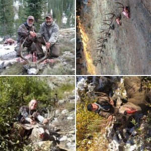 2017 muley trip ID