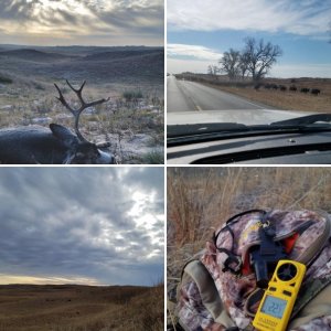 2017 Sandhills Public