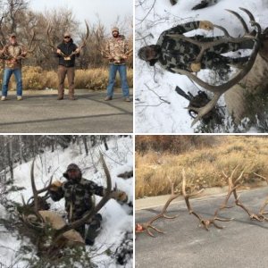 Elk hunt 2018