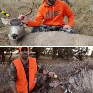 Montana Deer Hunt 2018