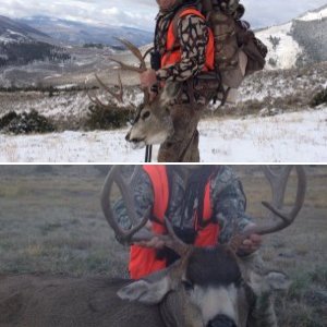 Colorado hunts