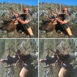 Oklahoma 6x6 Bull 2010