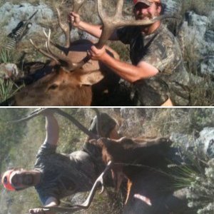 1st elk