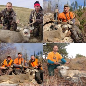 My deer hunts