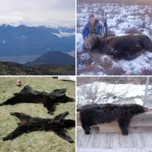 hunting pics