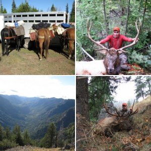 Hunting Past