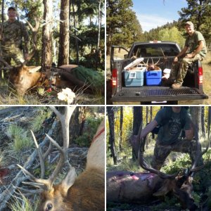 Colorado Elk hunt