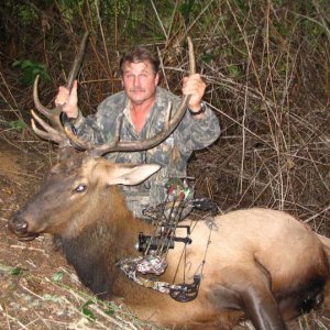 whitetail2008 203