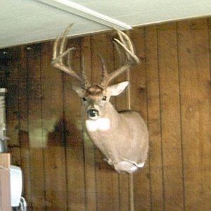 2000 buck 188 net 198 gross
