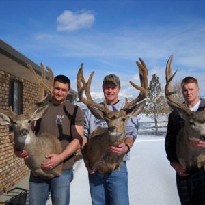 marchant bucks