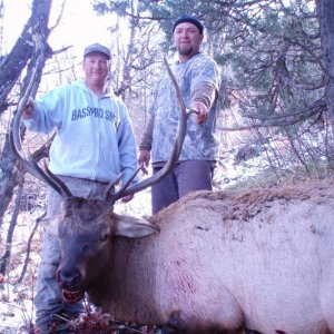 Randys Idaho Elk