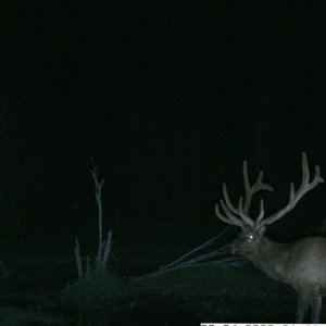 PIC0029
