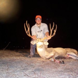 05 deer