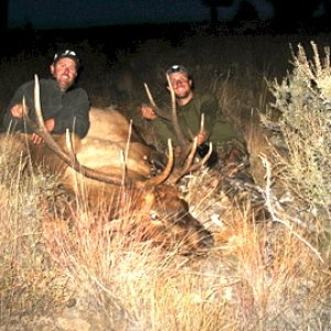 Good Frank Church bull