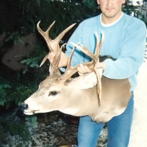 5x6 with drop tines