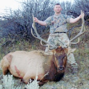 2010 Elk
