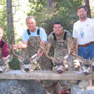 2005 deer