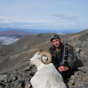 My 09 sheep.