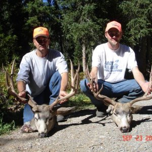 2010 Wyoming Deer