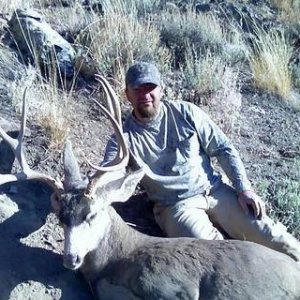 My Austin buck 08