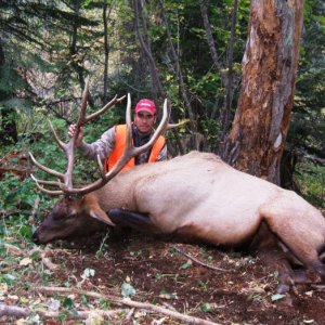 elk hunt idaho 2008