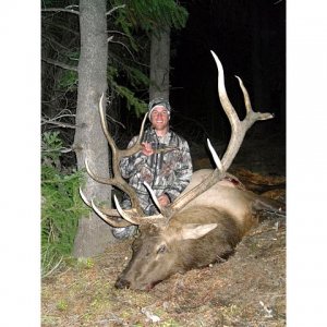 2010 1st Elk