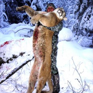 2011 Mtn Lion 014