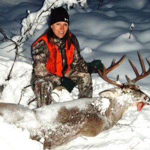 2011 Whitetail