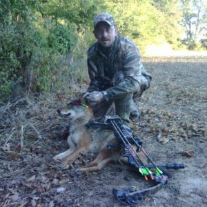 2010 Coyote Bow Kill