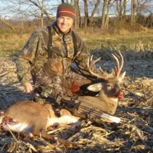 buck2