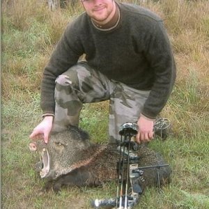 JAVELINA