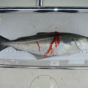 P6140033