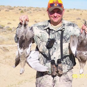 2010 Wy Sage Grouse