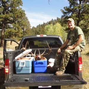 elk 13
