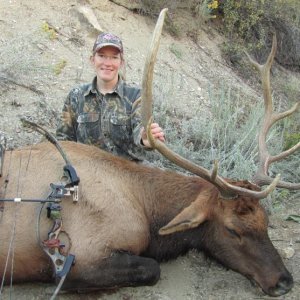 My 2011 Archery Bull Elk