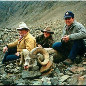 1995 BC Stone Sheep