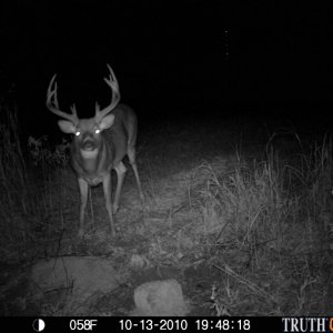 Trail cam pic of a buck I was hunting a neighbor got, 185" buck.  The kid was real excited and will be a hunter for life