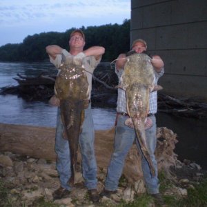 2010 37 & 50lb flathead