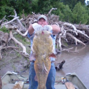 2009 60lb flathead