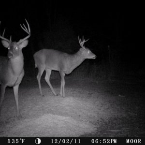 A trail cam pic of my 2011 buck