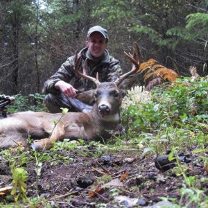 2011 Late Season Archery Blacktail