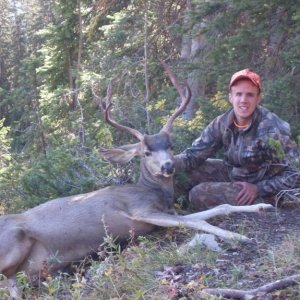 wyoming 2011