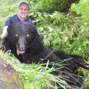 2011 bear
