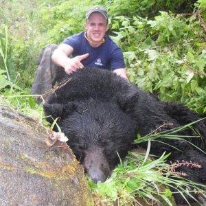 2011 bear