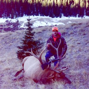 Colorado